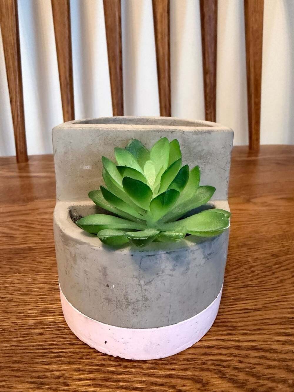 Artificial Succulent in Gray and Pink Two-Tone Cement Planter Pot